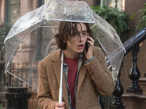 Woody Allen ataca contra Timothée Chalamet