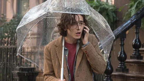 Timothée Chalamet en Un día lluvioso en Nueva York
