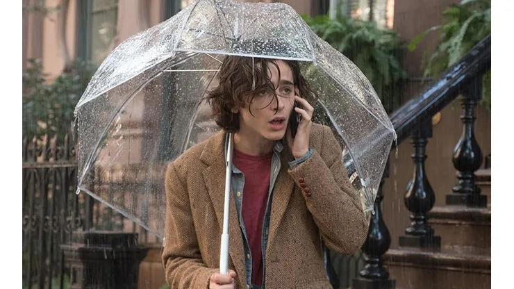 Timothée Chalamet en Un día lluvioso en Nueva York