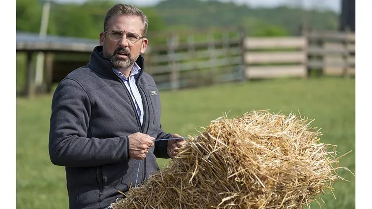 Steve Carrell en Irresistible