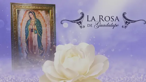 La Rosa de Guadalupe