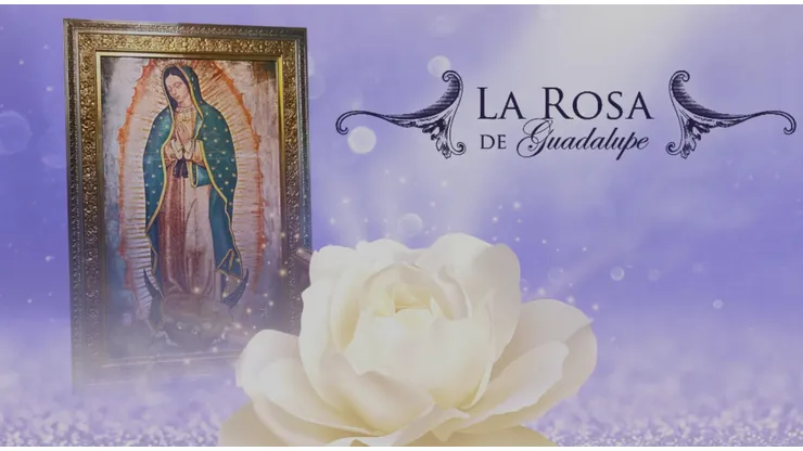 La Rosa de Guadalupe