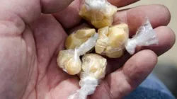 Pedra droga que transforma en zombies a las personas