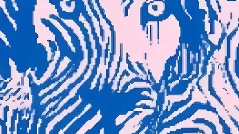 ¿Qué viste primero? Tu respuesta habla mucho de tu PERSONALIDAD