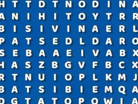 Ubica la palabra DANZA en la sopa de letras en 8 segundos