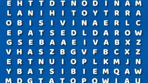 Ubica la palabra DANZA en la sopa de letras en 8 segundos