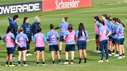 Portanova ya tiene 21 citadas,