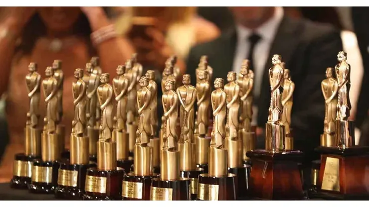 Falta menos para una nueva edición de los Premios Martín Fierro.