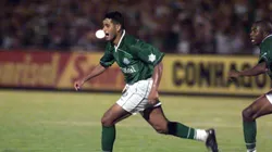 Francisco Arce con la camiseta de Palmeiras.