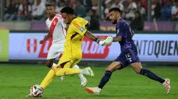 "Le estaban faltando el respeto a los colores de nuestro país"