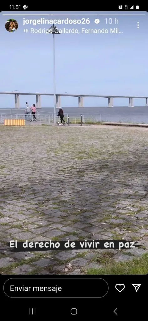 La historia que publicó en Instagram Jorgelina Cardoso.