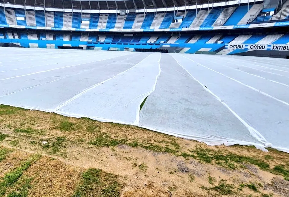 Así luce el césped del Cilindro de Avellaneda.