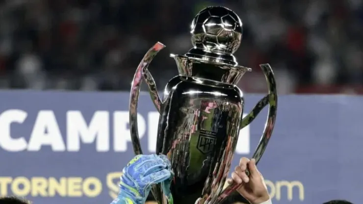 La Liga Profesional espera por el gran campeón.