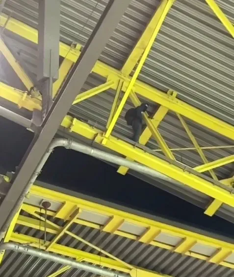 Imágenes del encapuchado que causó la interrupción de Alemania – Dinamarca (Marca)