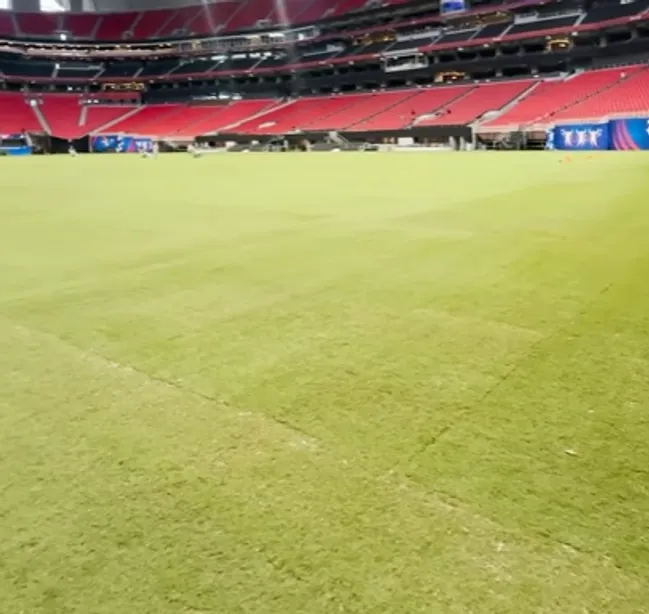Así está el césped del Merceds Benz Stadium a 48 horas del partido de Argentina vs. Canadá.