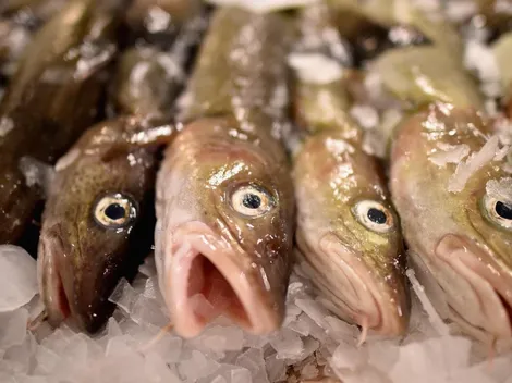 ¿Por qué se come pescado en Semana Santa?