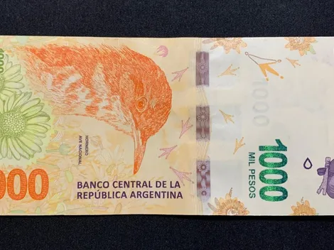 Los billetes de 1000 pesos que pueden valer hasta 20 mil pesos