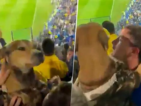 VIDEO VIRAL | El perro que saltó al ritmo de la hinchada de Boca