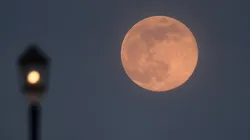 Luna Rosa 2023: a qué hora ver desde Argentina