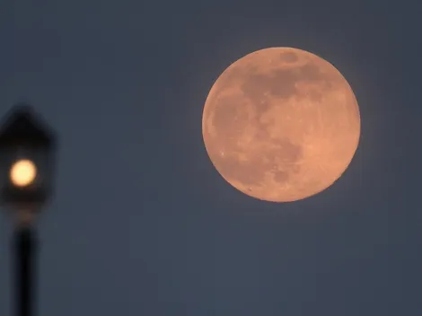 Luna Rosa 2023: a qué hora ver desde Argentina