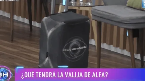 La valija que ingresó Alfa.