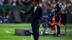 La decisión de Ibarra tras ser dado de alta