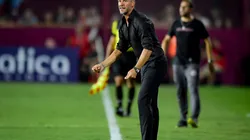 Buenas noticias para Demichelis: una de las figuras podría volver para el próximo partido