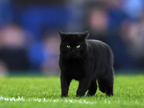 ¿Por qué el viernes 13 es considerado un día de mala suerte?