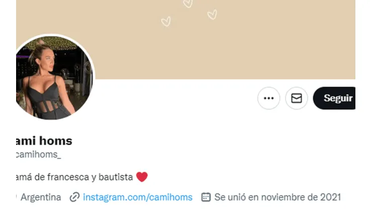 ¿Es real la cuenta de Twitter de Camila Homs que insulta a Tini Stoessel?
