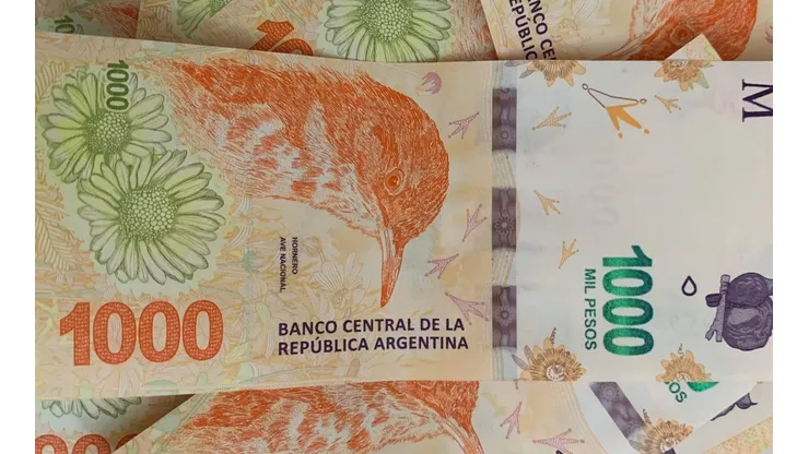 Algunos billetes de 1000 pesos con un error de impresión pueden valer mucho dinero.