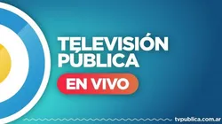 Link para VER EN VIVO Argentina vs. Países Bajos por la TV Pública - cuartos de final del Mundial 2022