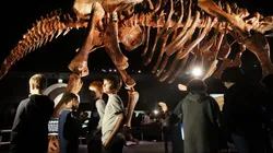 Este sábado es la Noche del Museo 2022.