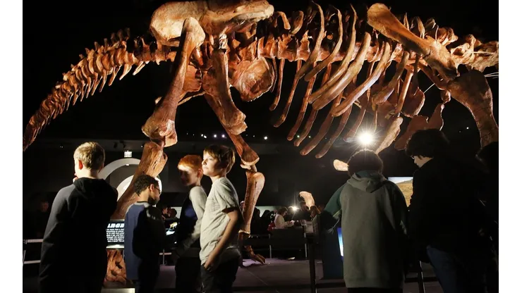Este sábado es la Noche del Museo 2022.