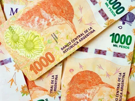 ¿Cómo anotarse al nuevo bono de $45000 en Argentina?