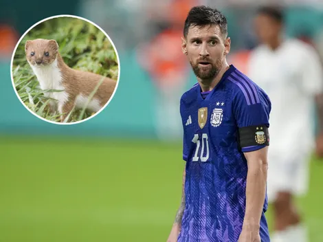 Ya no es la Pulga: el apodo animal que le pusieron a Messi en la Selección