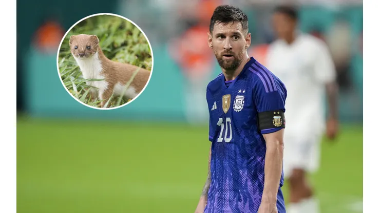 El nuevo apodo que recibió Messi.