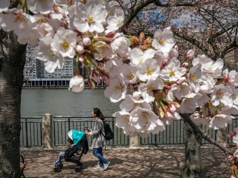 ¿Cuándo comienza la primavera en Argentina?