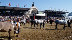 Comenzó la Exposición Rural 2022.