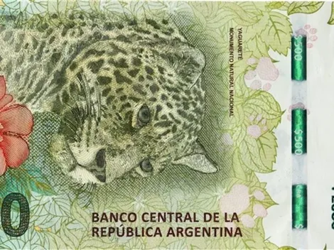 Cómo son los billetes de $500 con error y cuánto cuestan