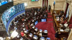Argentine Senate Decides on Legalization of Abortion