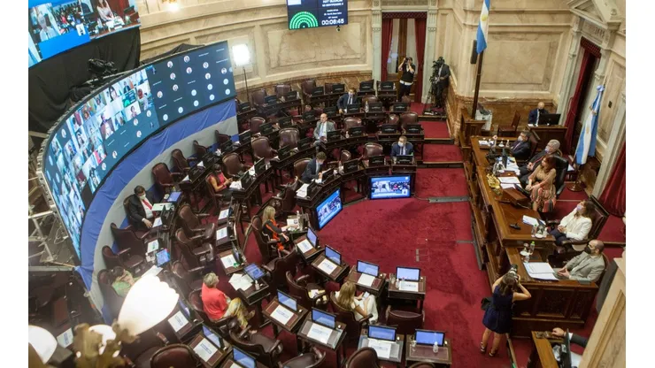 Argentine Senate Decides on Legalization of Abortion