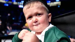 Hasbulla, el simpático joven que es viral en redes sociales (Foto: Prensa HB).