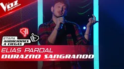 Elías Pardal pasó las Audiciones a Ciegas.