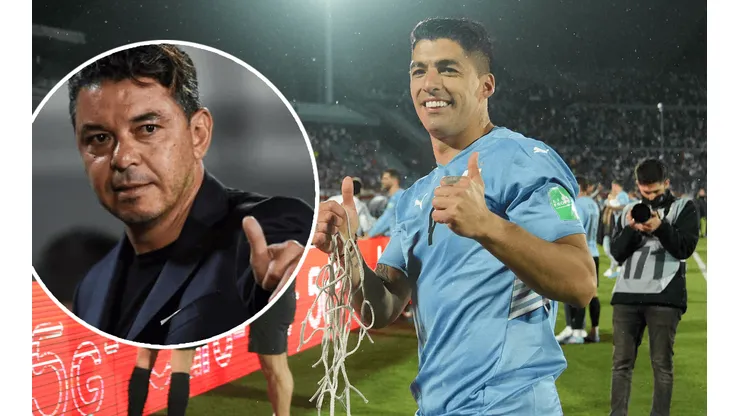 Se dio: revelan que Gallardo se comunicó con Suárez en pleno interés de River en sumarlo