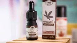 Promulgaron la Ley de Cannabis Medicinal y Cáñamo Industrial