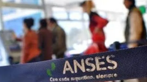 IFE 4 de ANSES