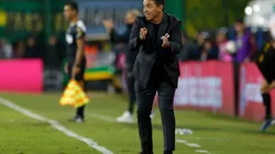 ◉ Las noticias de River hoy