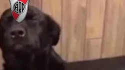 Cargadas por todos lados: los memes del Superclásico entre River y Boca