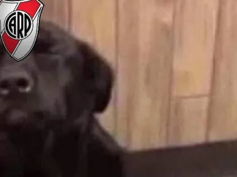 Cargadas por todos lados: los memes del Superclásico entre River y Boca