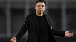 Revelan el motivo por el cual no llegó un delantero que pidió Gallardo para River